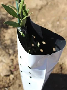Protectores para plantas